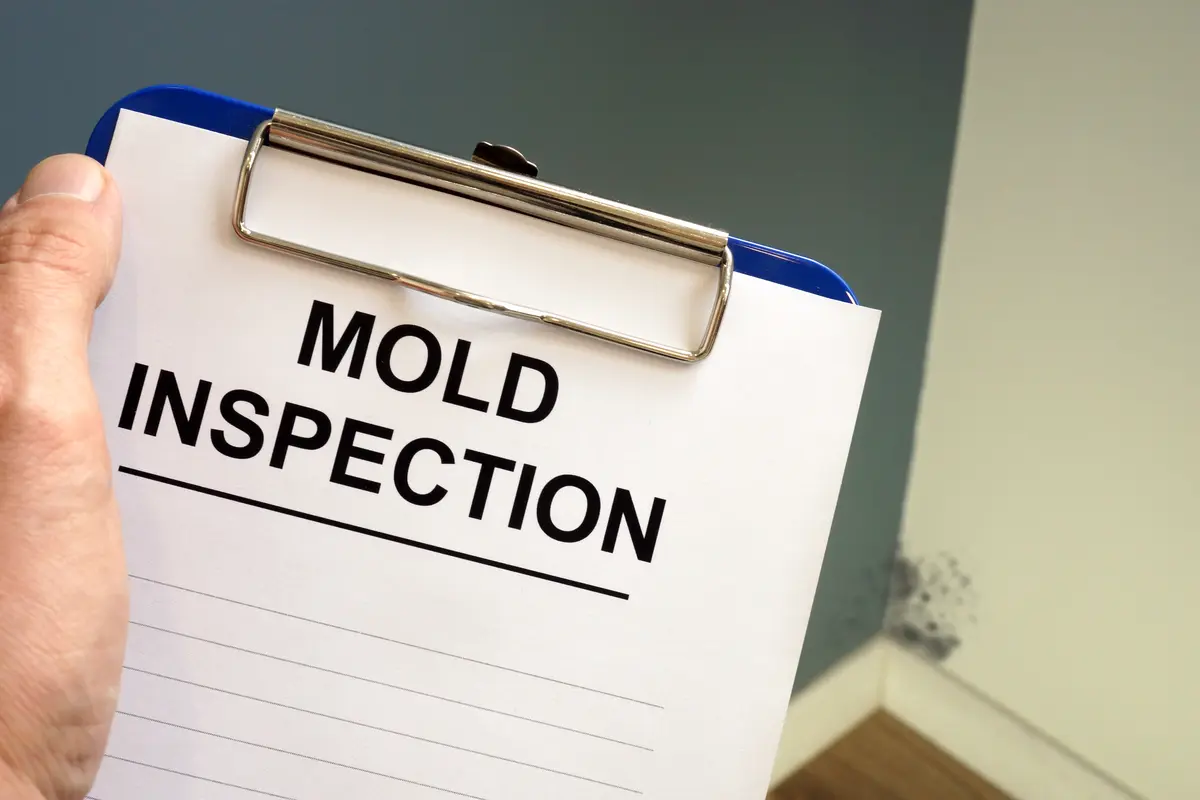 Documents,About,Mold,Inspection,With,Clipboard.