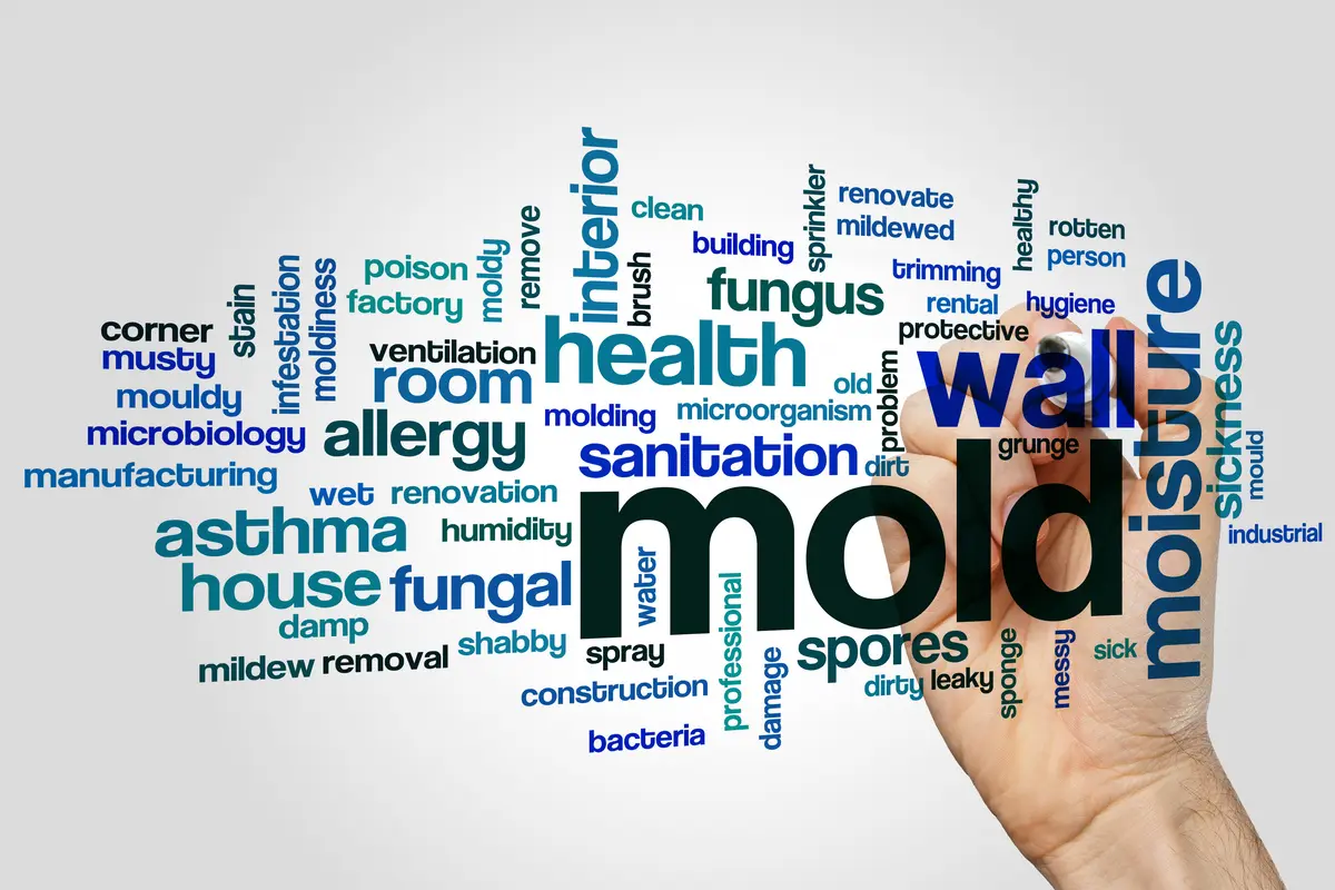 Mold,Word,Cloud,Concept,On,Grey,Background